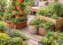 Container Gardening Ideas for Small Spaces