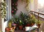 balcony garden ideas