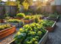 Raised Garden Beds Complete Beginner Guide