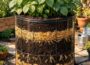 7 Potato Tower Growing Tips for Small Gardens